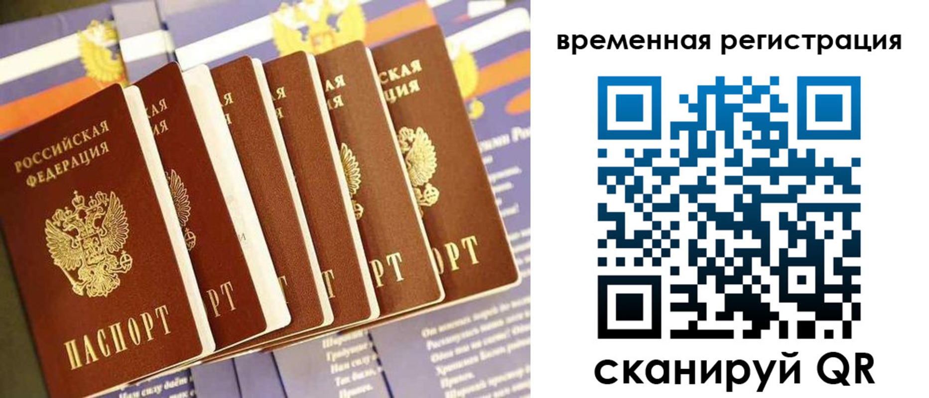 временная регистрация поиск в Белгороде
